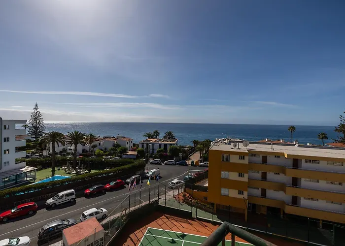 Ficus, Maspalomas Playa del Inglés