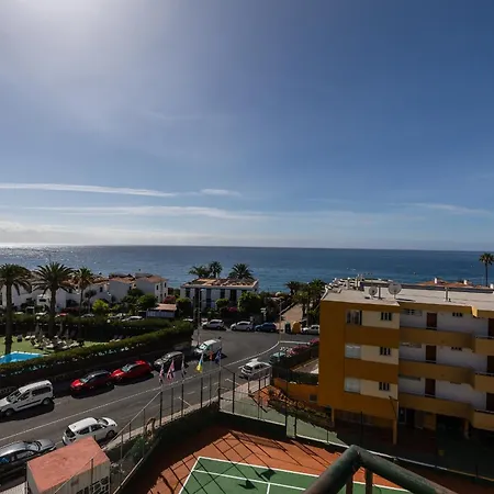 Ficus Playa del Ingles (Gran Canaria)