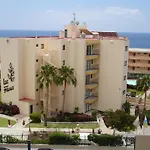 Ficus, Maspalomas *