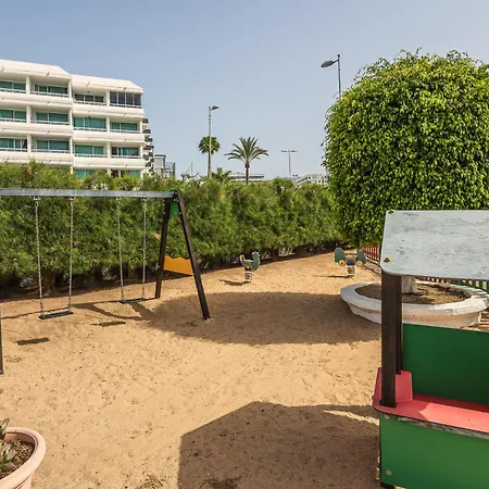 Ficus, Maspalomas * 普拉亚戴尔雷安格莱斯