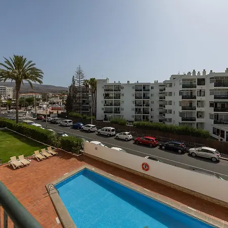 Ficus, Maspalomas