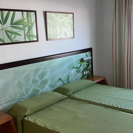 Ficus, Maspalomas Playa del Inglés