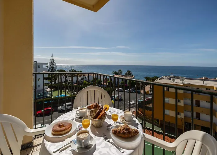 Ficus, Maspalomas Playa del Ingles (Gran Canaria)