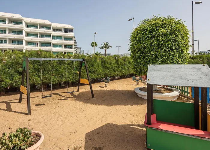 Ficus, Maspalomas * Playa del Ingles (Gran Canaria)