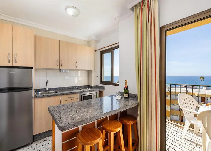 Ficus, Maspalomas * Playa del Inglés