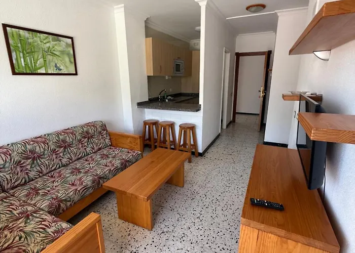 Ficus, Maspalomas 公寓 普拉亚戴尔雷安格莱斯