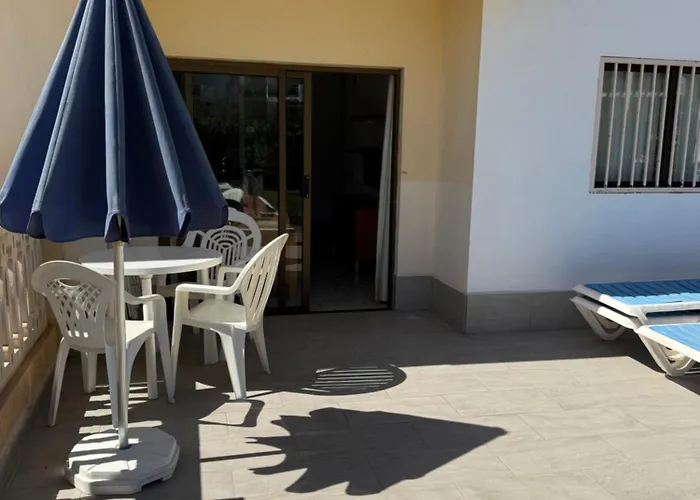 Ficus, Maspalomas * 普拉亚戴尔雷安格莱斯