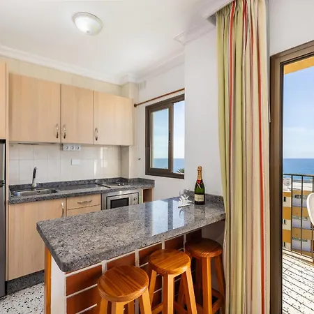 Ficus, Maspalomas * Playa del Inglés