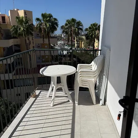 Ficus, Maspalomas Playa del Inglés