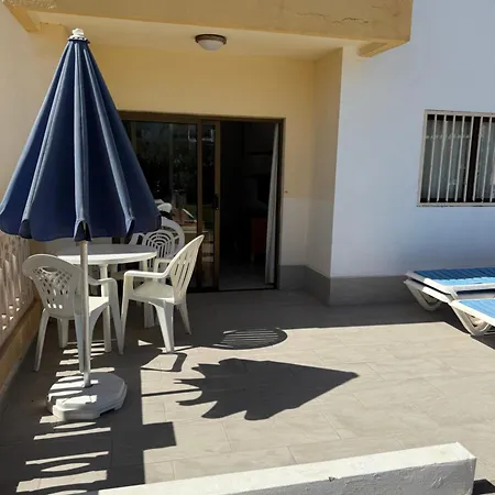 Ficus * Playa del Inglés